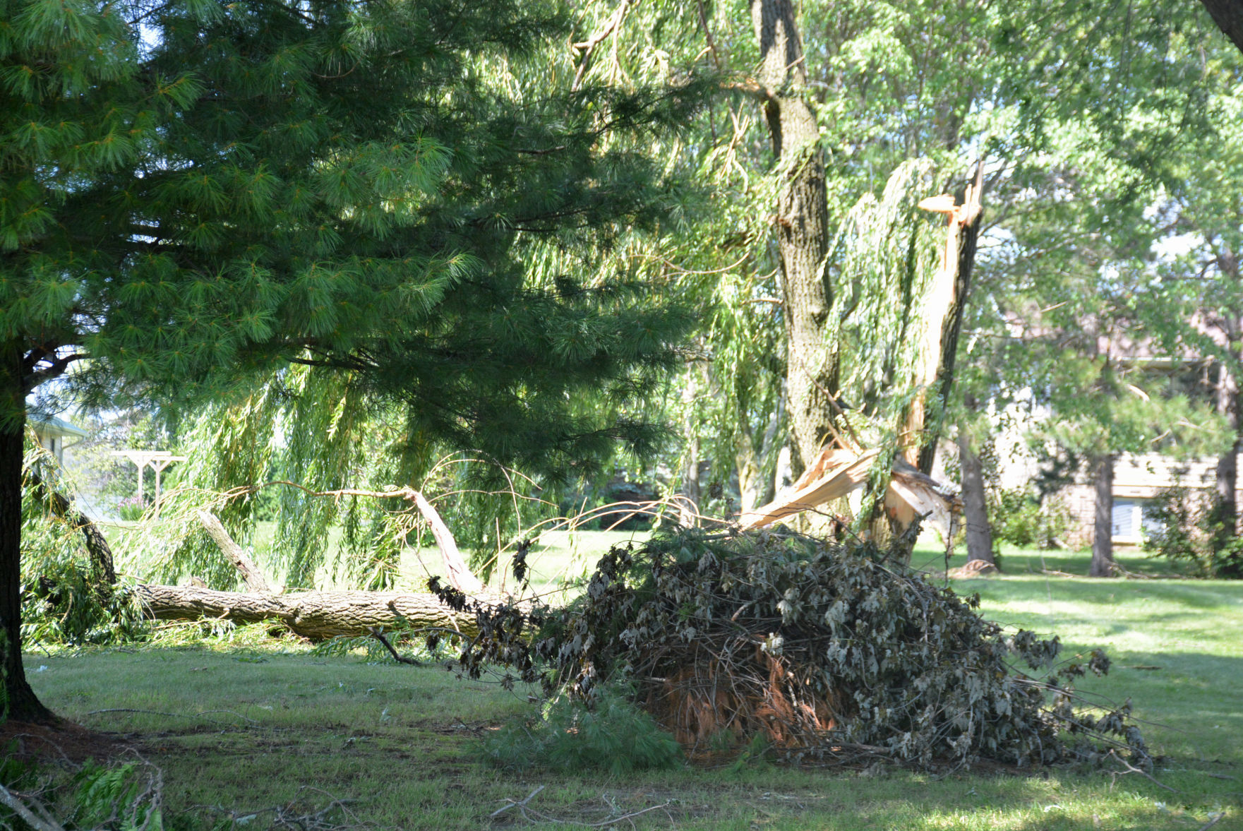 DSC_1516.jpg